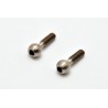 22215 Titanium pivot ball x2 pcs