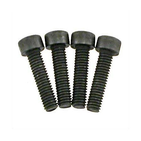 21003 - Tornillos culata 3x14 mm x4 uds.