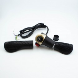 Throttle electric scooter DS8 48v 1600W