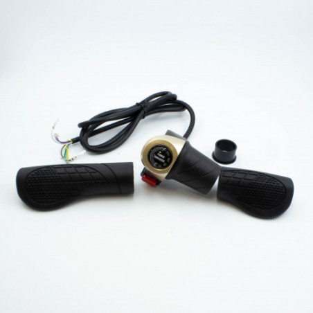 Throttle electric scooter DS8 48v 1600W