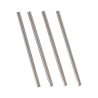 Rear suspension arm pin long 1/8 BSD x4 pcs
