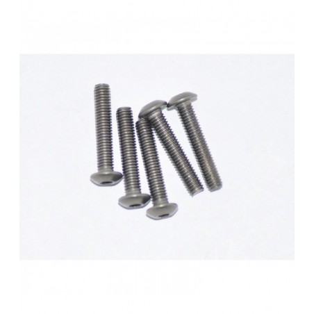 AM-15RH3016 - Round head titanium M3x16mm screw x5 pcs