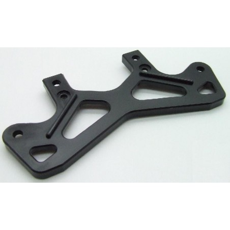 Front body mount plate