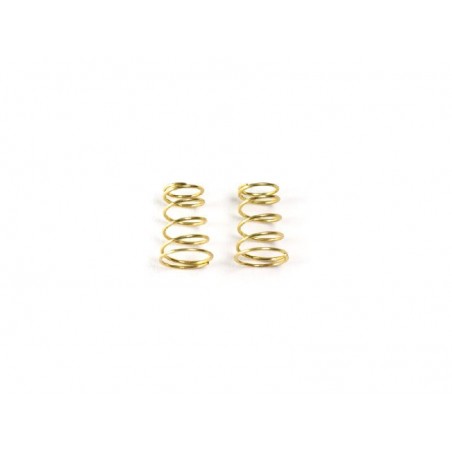Side Spring Medium 0.5mm 5.75 coils x2 pcs