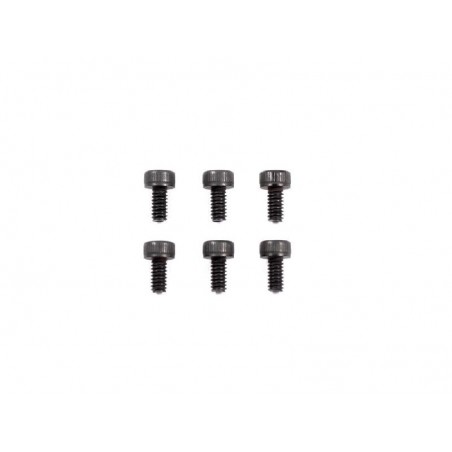 Tornillos cabeza cilindrica M2x4mm x6 uds.