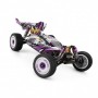 Buggy 1/12 Brushed Electric 4x4 WLToys 124019 RTR