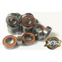 Ball bearing kit Sworkz 35-3 XTR Racing
