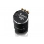 Motor Brushless Hobbywing Justock 3650SD 21.5T Black G2