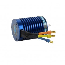 11317 - Motor electrico brushless 34A para 1/10