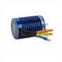 11317 1/10 3650 - 3900 Kv Brushless Motor