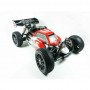 Sworkz Buggy 1/8 Apollo II Nitro RTR
