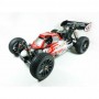Sworkz Buggy 1/8 Apollo II Nitro RTR
