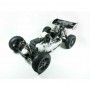 Sworkz Buggy 1/8 Apollo II Nitro RTR