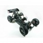 Sworkz Buggy 1/8 Apollo II Nitro RTR