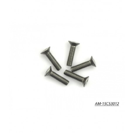 Titanium Screw allen countersunk head M3x12mm x5 pcs