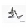 Tornillo Titanio cabeza redonda M4x12mm x5 uds.
