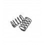 Stealth Line Lefty Shock Spring RL5.9 x2 pcs