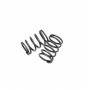 Stealth Line Lefty Shock Spring RL5.9 x2 pcs