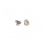 Titanium wing button screw x2 pcs