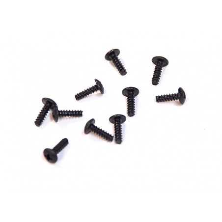 02082 - BT 3x10 mm BH Screw x 10 tornillos
