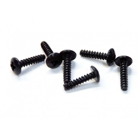 02083 - BT 3x12 BH Screw x 6 tornillos