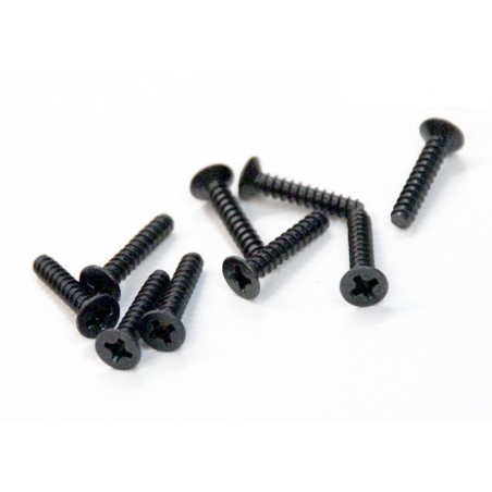 02089 - TPE 3x15 FH Screw x 15 tornillos
