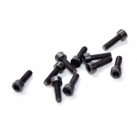 02093 - M3x10 Cap Screw x 10 tornillos