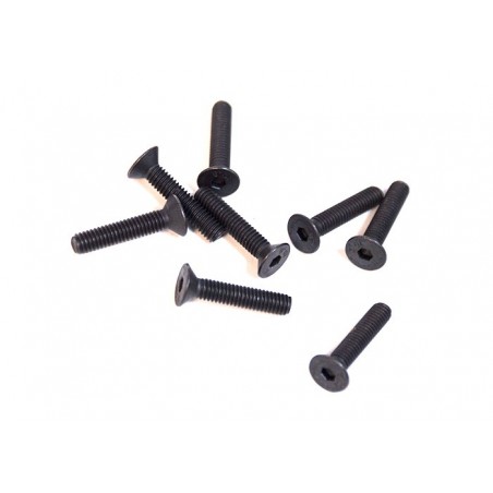 81220-10 - CSH screw 4x20 x 8 unidades