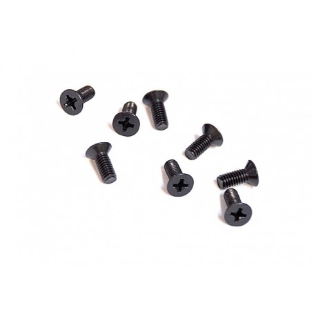 81220-12 - CS screw 4x10 mm x8 unidades