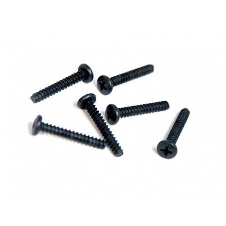 81220-17 - CHS screw 4x25 mm x6 unidades