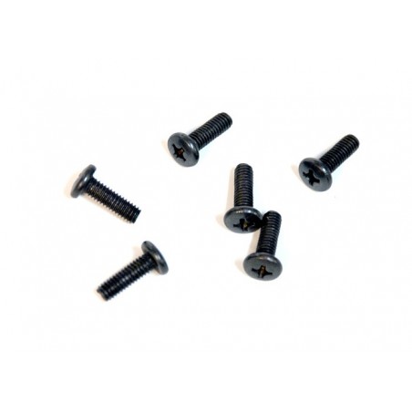 81220-19 / 98083 - Cap Head screw 4x12 mm x5 uds.