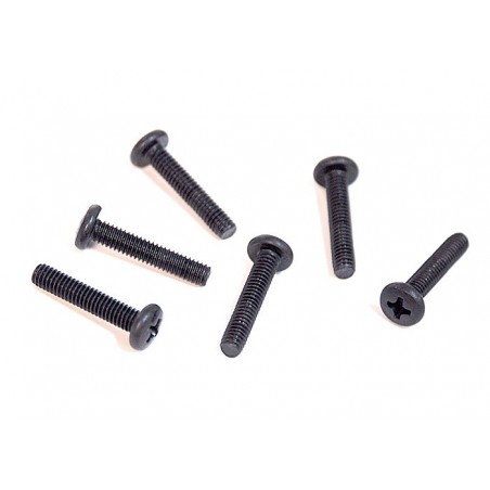 81220-21 - CH screw 4x20 x 6 unidades