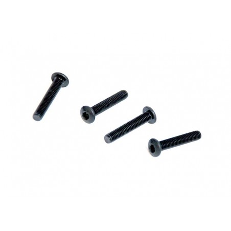 81220-22 - CHH screw 3x14 x 4 unidades
