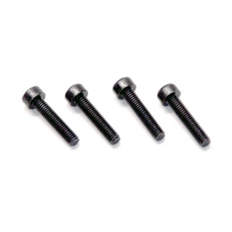 81220-24 - CHH screw 3x14 mm x4 unidades