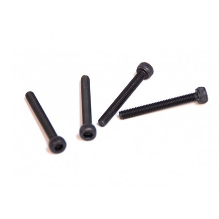 81220-25 - CHH screw 3x25 mm x4 unidades