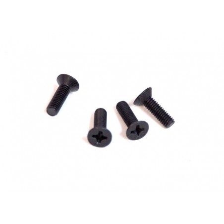 81220-3 - CS screw 3x10 mm x4 unidades