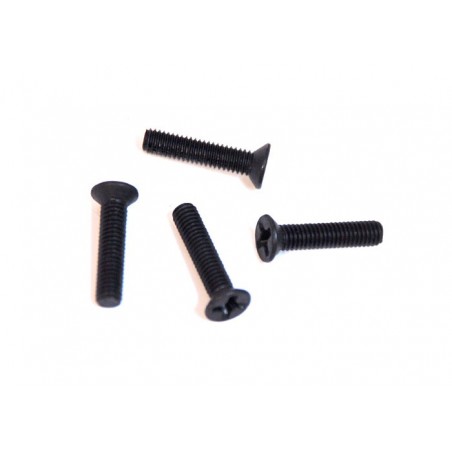 81220-5 - CS screw 3x14 mm x4 unidades