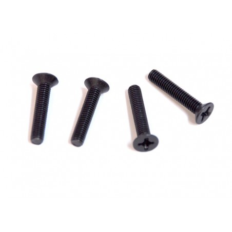 81220-6 - CS screw 3x16 x 4 unidades