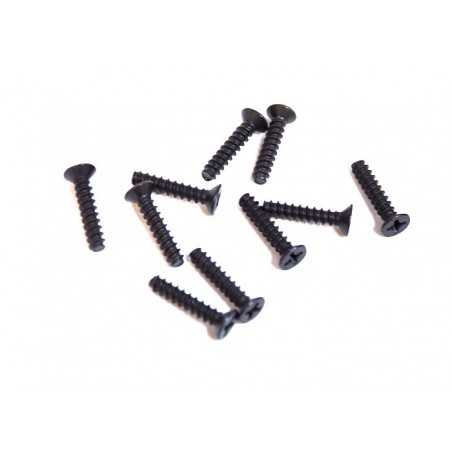 81220-8 - CST screw 4x20 x 10 unidades