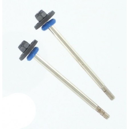 60035 - Shock Shaft + Pinstons x 2 uds.