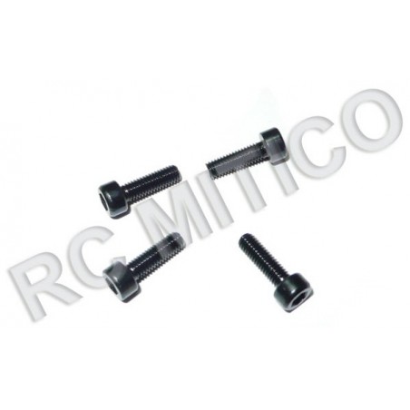 60074 - Column Head Mechanical Screw 3x10 - 4 Uds.