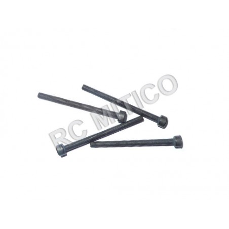 60076 - Column Head Mechnical Screw 3x38 mm - 4 ud