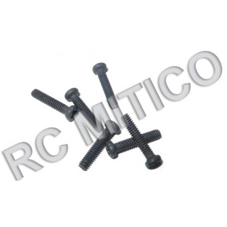 18040 - Round Head Screw M2x10 mm - 6 uds.