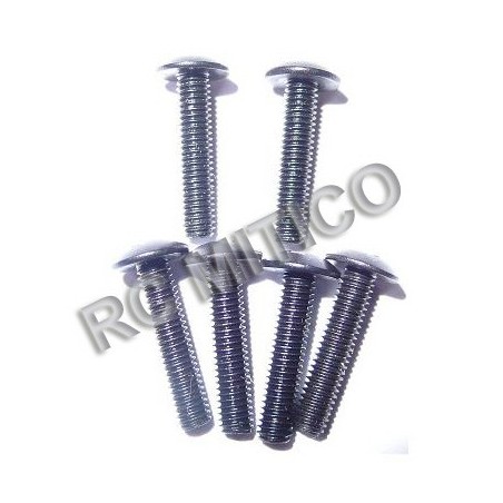 98066 - Round Head Screw M3x14 - 6 Uds.
