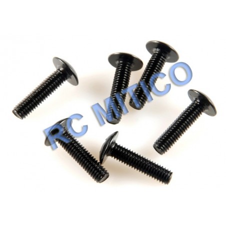 09139 - Cap Head Screws M3x12  - 6 Uds.