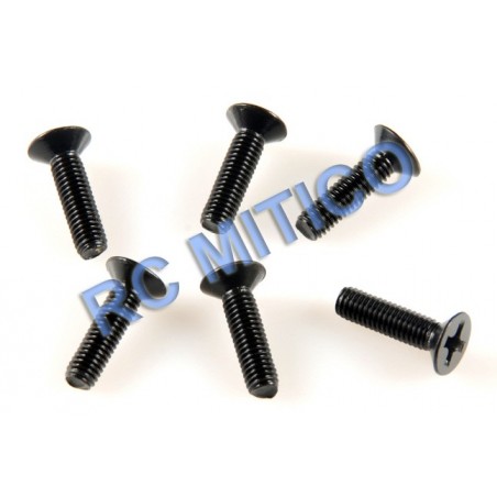 09141 - Flat Head Screw 3x10 - 6 Uds.