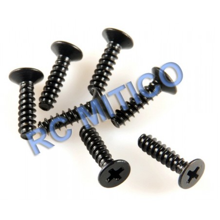 09143 - Flat Head Screw 2.5x10 - 12 Uds.