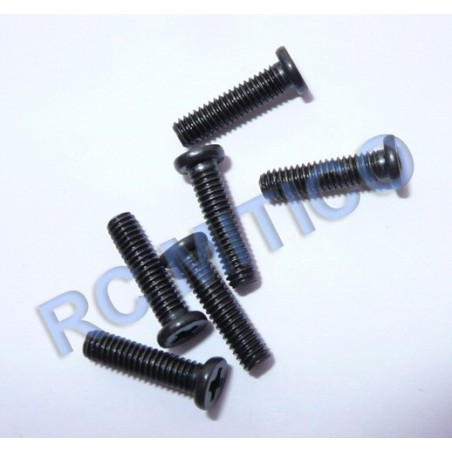 MS-006-008 - Screw SH M2.5x10 - 6 Uds.