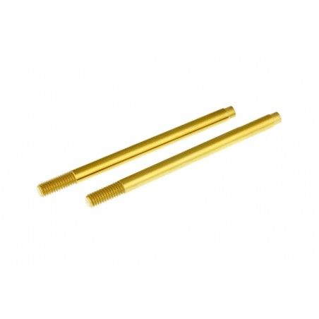 TD330333 - Vastagos delanteros TITANIO x2 uds.