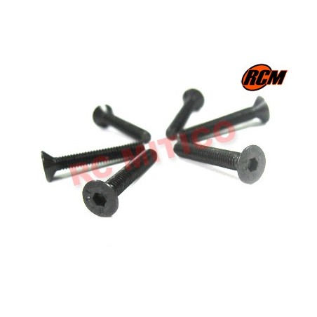 EPC068 - Tornillo cabeza conica 4x26 mm - 6 uds.